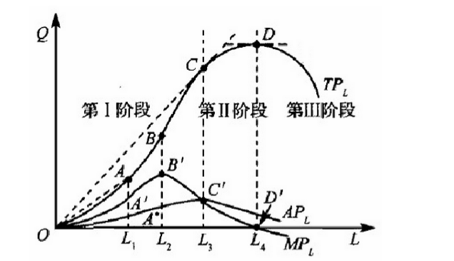 对生产的三个阶段划分的标志及特征都是什么