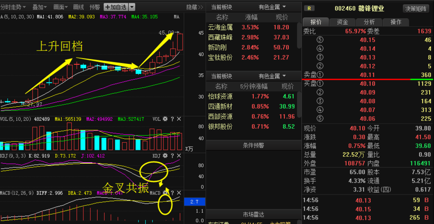 重磅利好: 赣锋锂业 庞大集团 珠海港 汉钟精机_股票