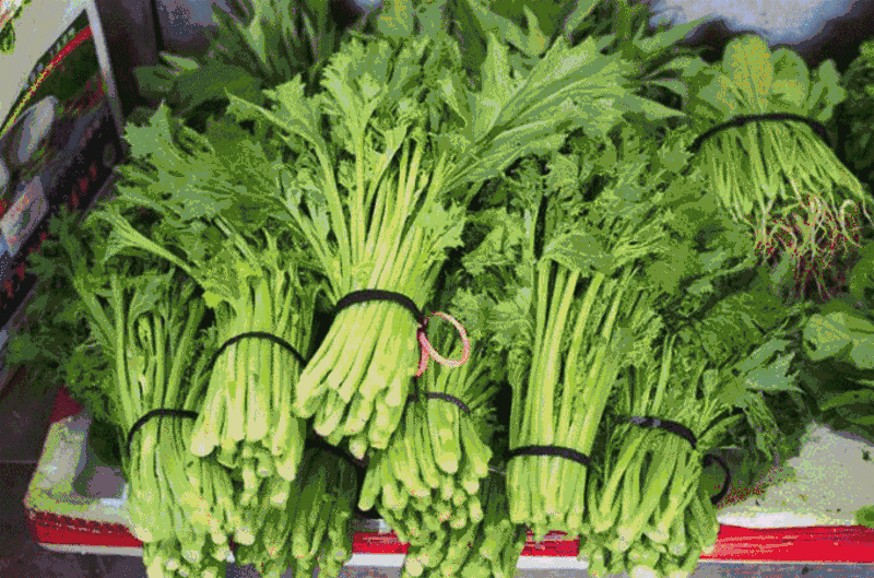 菜篮子价格降了!猪肉,蔬菜,鸡蛋通通跌!